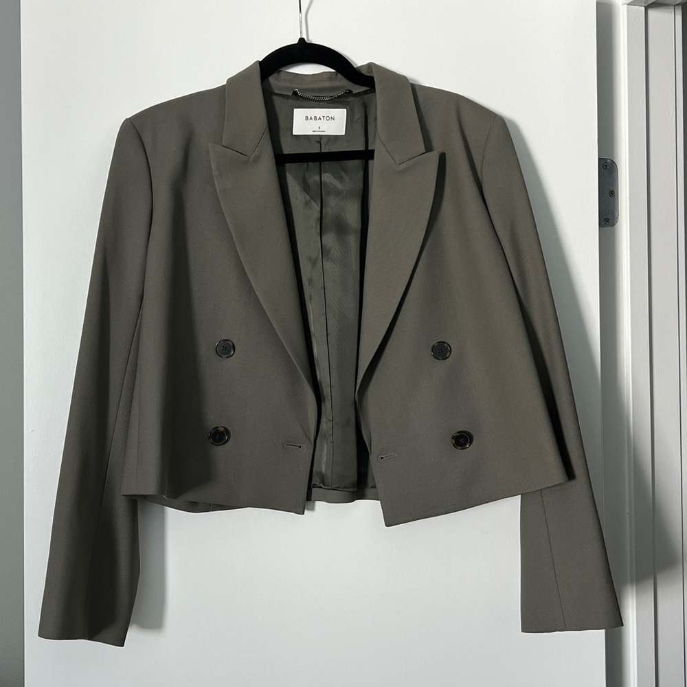 Aritzia Babaton Blazer